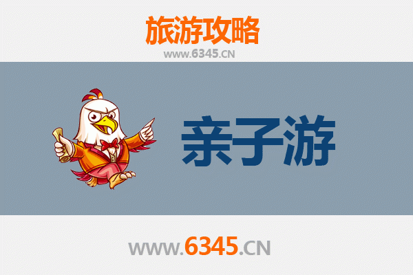 上海崇明亲子游攻略：自然探索与家庭乐趣的完美之旅