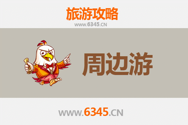 上海崇明岛周边游全攻略：生态秘境、美食与休闲之旅