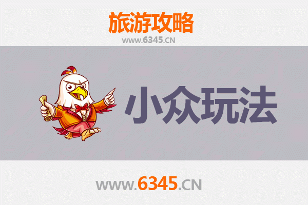 上海崇明小众玩法指南：探索生态岛的秘密角落