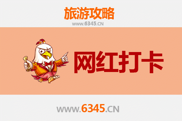 上海崇明岛网红打卡地全攻略：探索生态与潮玩的完美融合