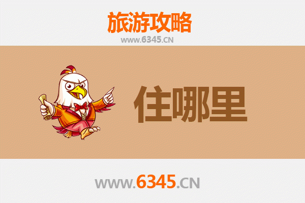 上海崇明岛旅游民宿全攻略：生态度假与特色住宿体验
